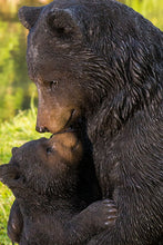 Load image into Gallery viewer, 87957-J - MOTHER&amp;BABY BLACK BEAR
