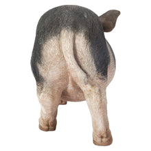 Load image into Gallery viewer, 87959 - POT BELLY PIG STANDING
