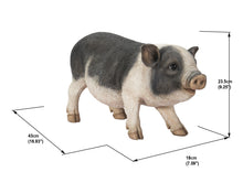 Load image into Gallery viewer, 87959 - POT BELLY PIG STANDING
