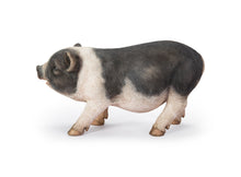 Load image into Gallery viewer, 87959 - POT BELLY PIG STANDING
