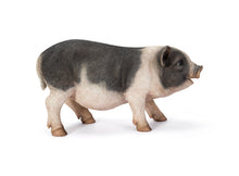 Load image into Gallery viewer, 87959 - POT BELLY PIG STANDING
