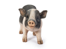 Load image into Gallery viewer, 87959 - POT BELLY PIG STANDING
