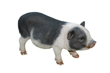Load image into Gallery viewer, POT BELLY PIG STANDING

