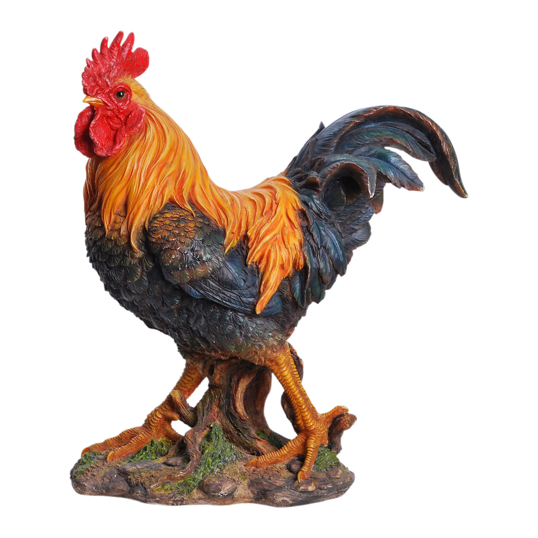 87961 - ROOSTER