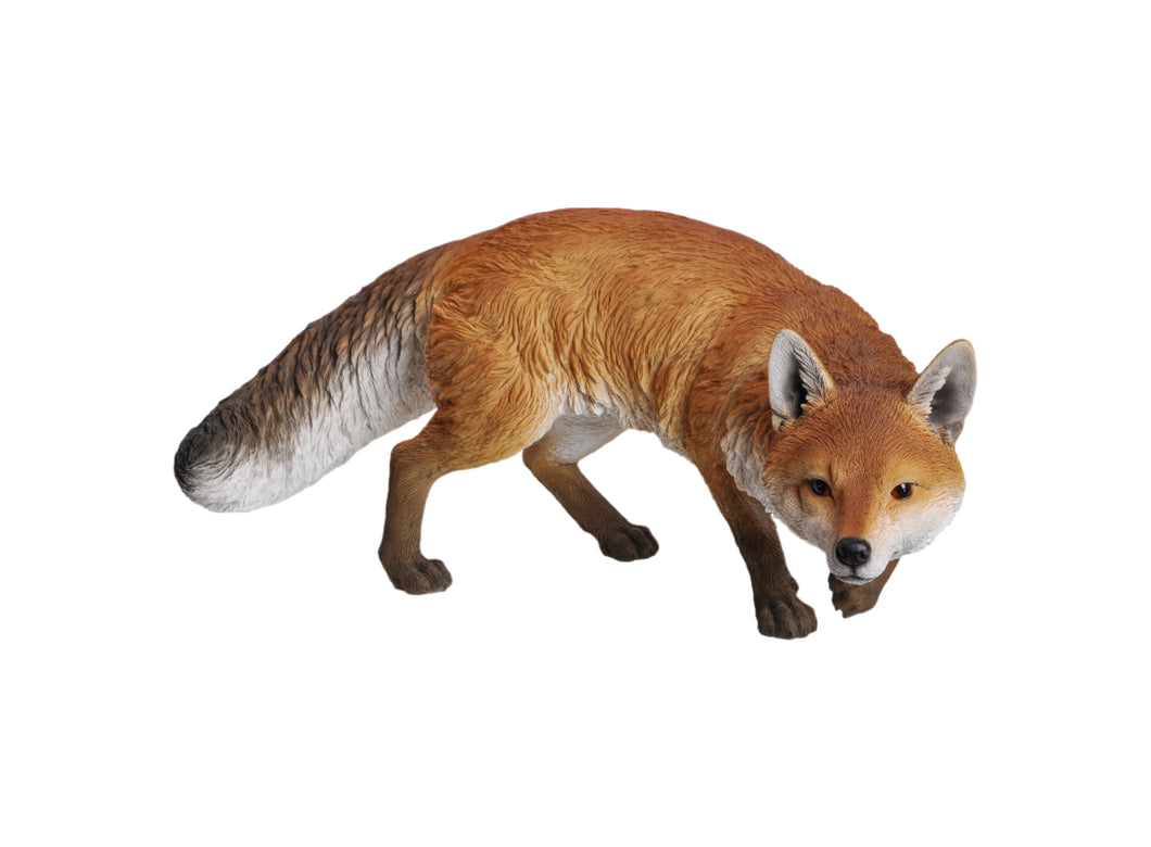 FOX PROWLING