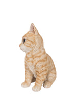 Load image into Gallery viewer, 87978-A - CAT-TABBY KITTEN SITTING-ORANGE
