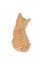 Load image into Gallery viewer, 87978-A - CAT-TABBY KITTEN SITTING-ORANGE
