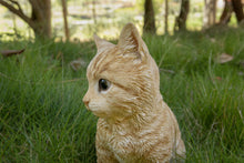 Load image into Gallery viewer, 87978-A - CAT-TABBY KITTEN SITTING-ORANGE
