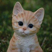 Load image into Gallery viewer, 87978 - CAT-KITTEN SITTING
