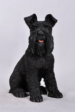 Load image into Gallery viewer, 87983S-BK - DOG-SCHNAUZER-BLACK
