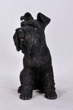 Load image into Gallery viewer, 87983S-BK - DOG-SCHNAUZER-BLACK
