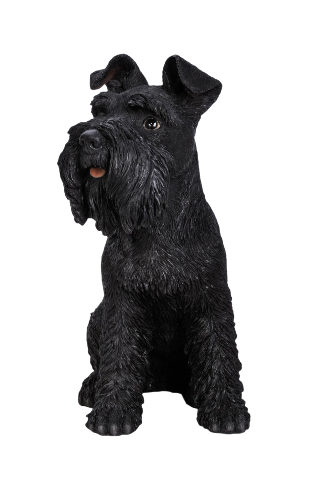 DOG-SCHNAUZER-BLACK