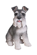 Load image into Gallery viewer, 87983 - DOG-SCHNAUZER SITTING
