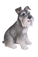 Load image into Gallery viewer, 87983 - DOG-SCHNAUZER SITTING
