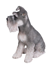 Load image into Gallery viewer, 87983 - DOG-SCHNAUZER SITTING
