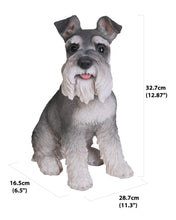 Load image into Gallery viewer, 87983 - DOG-SCHNAUZER SITTING
