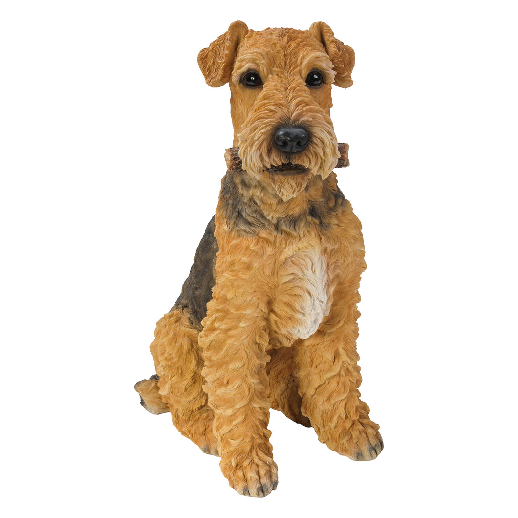 DOG-AIREDALE TERRIER