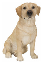 Load image into Gallery viewer, 87985-YL-B - SITTING BROWN LABRADOR
