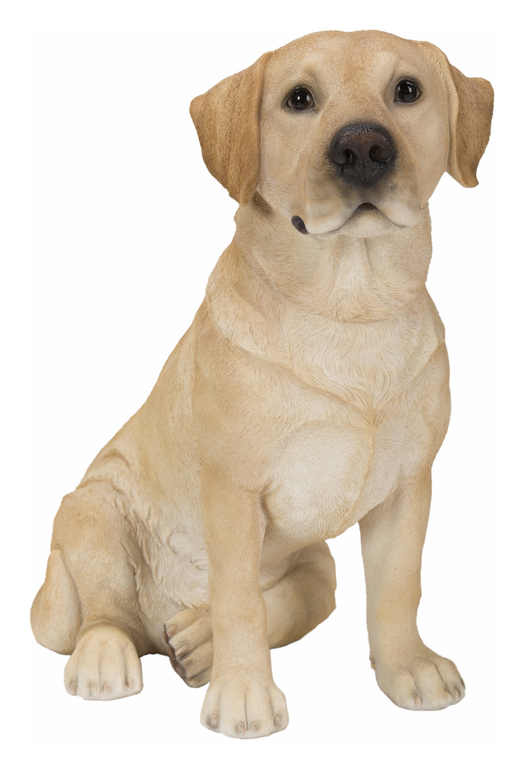 87985-YL-B - SITTING BROWN LABRADOR