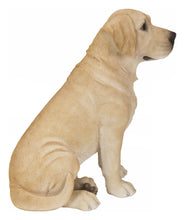 Load image into Gallery viewer, 87985-YL-B - SITTING BROWN LABRADOR
