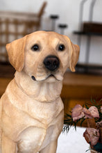 Load image into Gallery viewer, 87985-YL-B - SITTING BROWN LABRADOR
