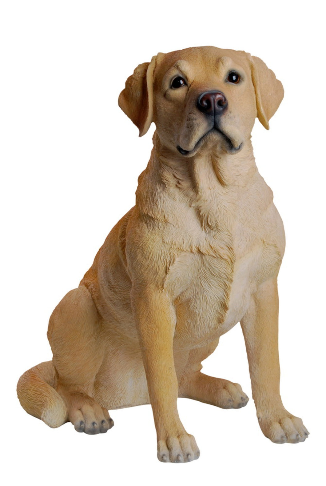 DOG-LABRADOR RETRIEVER SITTING - YELLOW