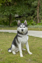 Load image into Gallery viewer, 87986-B - DOG-SIBERIAN HUSKY SITTING-GREY/WHITE
