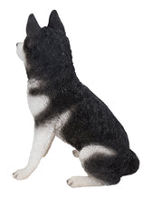 Load image into Gallery viewer, 87986-B - DOG-SIBERIAN HUSKY SITTING-GREY/WHITE
