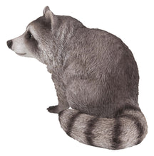 Load image into Gallery viewer, 87988-B - RACCOON SITTING
