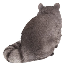 Load image into Gallery viewer, 87988-B - RACCOON SITTING
