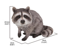 Load image into Gallery viewer, 87988-B - RACCOON SITTING
