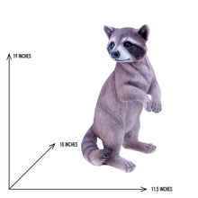 Load image into Gallery viewer, 87988 - RACCOON STANDING
