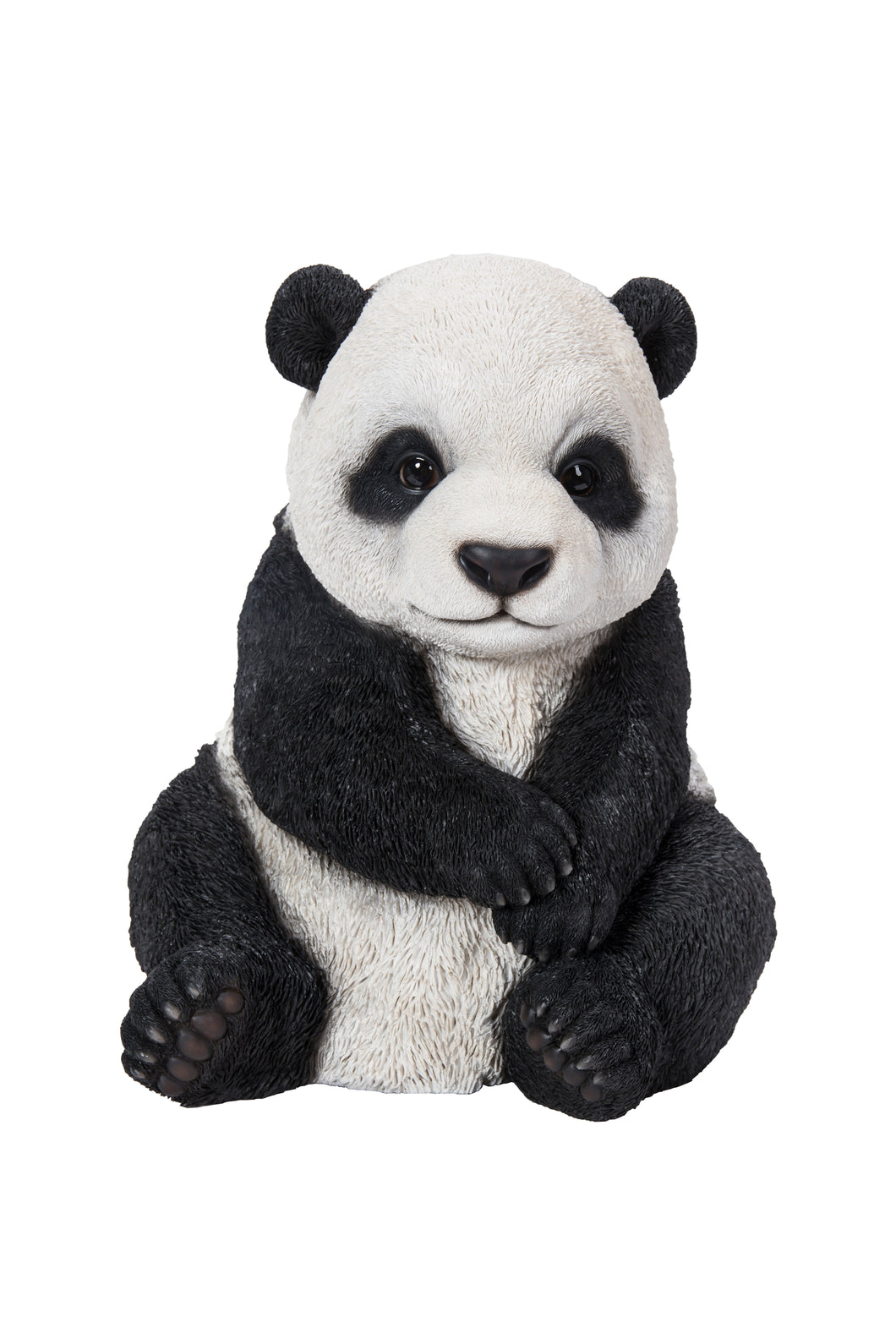 Small Panda Cub Sitting