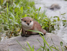 Load image into Gallery viewer, 87991-A - OTTER LEANING FORWARD
