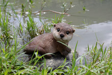 Load image into Gallery viewer, 87991-B - OTTER LYING BACK
