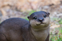 Load image into Gallery viewer, 87991-D - BROWN STANDING OTTER
