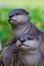 Load image into Gallery viewer, 87991-E - PLAYFUL OTTERS
