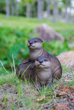 Load image into Gallery viewer, 87991-E - PLAYFUL OTTERS
