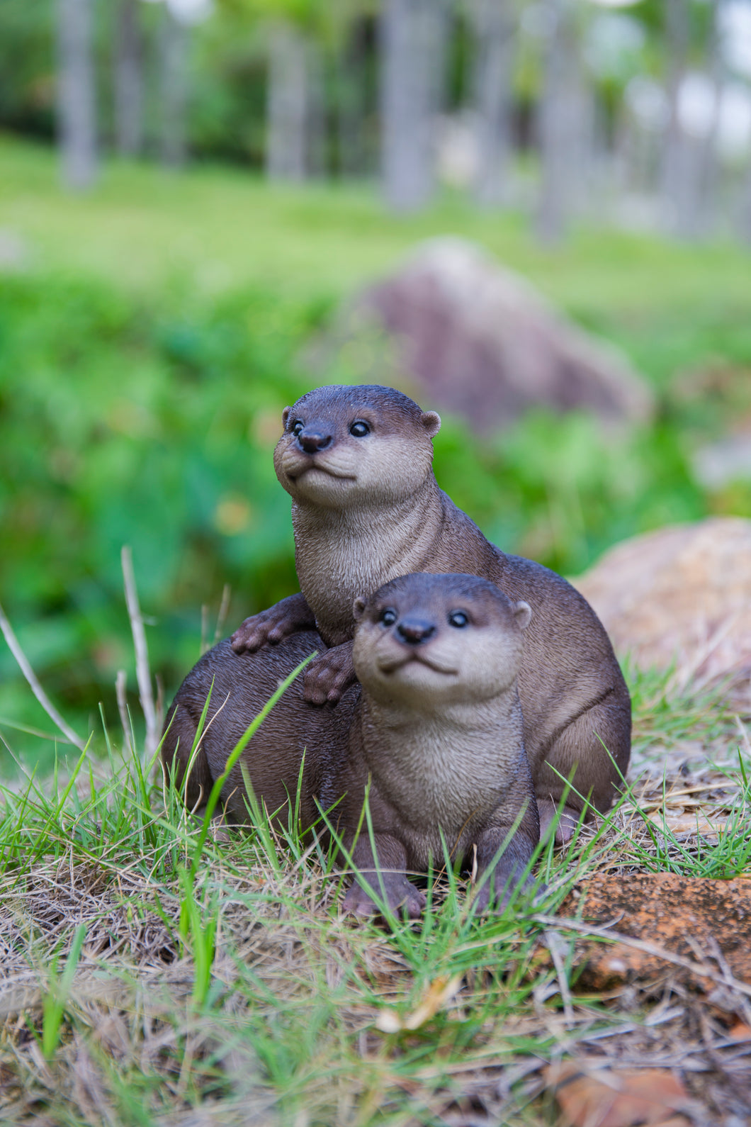 87991-E - PLAYFUL OTTERS