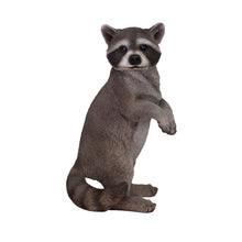 Load image into Gallery viewer, RACCOON STANDING
