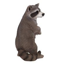 Load image into Gallery viewer, 87988 - RACCOON STANDING
