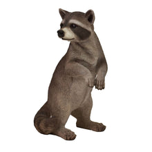 Load image into Gallery viewer, 87988 - RACCOON STANDING
