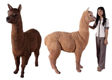 PH Studio: Alpaca - MOQ 1