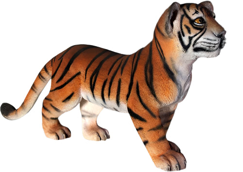 TIGER CUB- STANDING