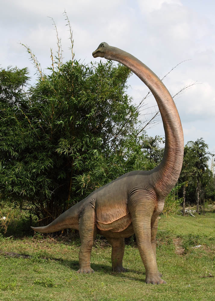 BRACHIOSAURUS WITH TWISTED NECK