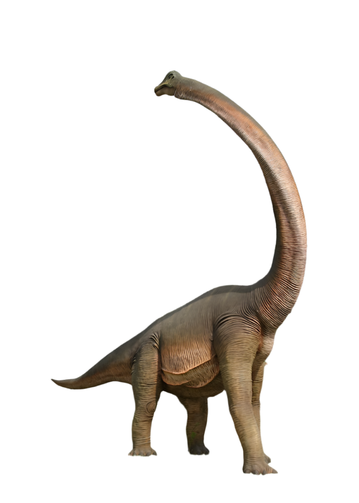 Made to Order: Brachiosaurus with Twisted Neck