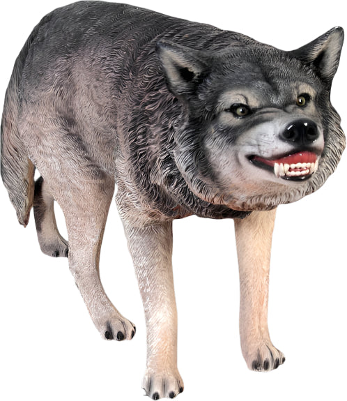WOLF SNARLING