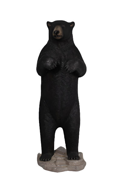 PH-110036 - BLACK BEAR STANDING