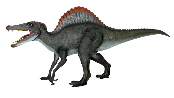 SPINOSAURUS (NOT IN AUS)