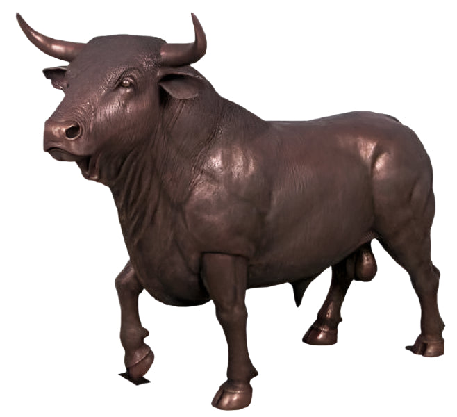 SPANISH FIGHTING BULL (NOT IN AUS)